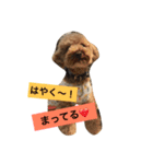 Mame's everyday（個別スタンプ：2）