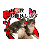 ビジネスシーンに便利なランちゃん一家2（個別スタンプ：19）