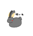 兎のくうちゃん（個別スタンプ：1）