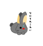 兎のくうちゃん（個別スタンプ：5）
