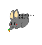 兎のくうちゃん（個別スタンプ：13）
