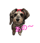 グリ（個別スタンプ：2）