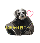 グリ（個別スタンプ：5）