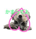 グリ（個別スタンプ：7）