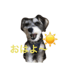 グリ（個別スタンプ：8）