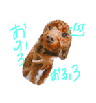デカプー！？さくらの1日♡（個別スタンプ：4）