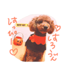 デカプー！？さくらの1日♡（個別スタンプ：8）