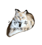 イブのスタンプ（個別スタンプ：8）