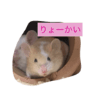 我が家のパンダマウス ③（個別スタンプ：1）