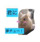 我が家のパンダマウス ③（個別スタンプ：12）