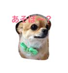 簡単な日常会話の中で使えるスタンプです♡（個別スタンプ：4）