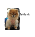 petpet2（個別スタンプ：3）