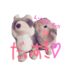 レオたんスタンプ♡（個別スタンプ：1）
