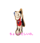 マリーとコユキ（個別スタンプ：19）