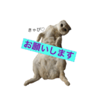 ごまねこちゃん（個別スタンプ：27）