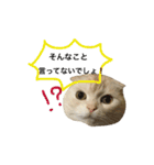 ごまねこちゃん（個別スタンプ：28）