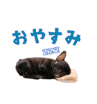 ブルブルブルドッグ（個別スタンプ：7）
