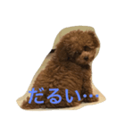 あざといぷー（個別スタンプ：2）