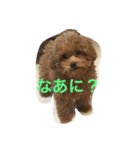あざといぷー（個別スタンプ：3）