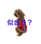 あざといぷー（個別スタンプ：6）