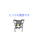 ねこ イラストあいさつ（個別スタンプ：6）