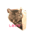 しまがらルゥくん(リアルver.)（個別スタンプ：1）