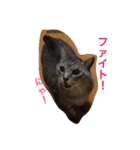 しまがらルゥくん(リアルver.)（個別スタンプ：3）
