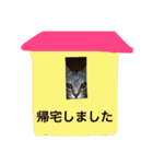 しまがらルゥくん(リアルver.)（個別スタンプ：7）