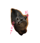 しまがらルゥくん(リアルver.)（個別スタンプ：17）