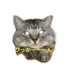 しまがらルゥくん(リアルver.)（個別スタンプ：28）