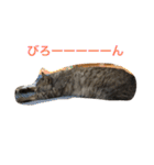 しまがらルゥくん(リアルver.)（個別スタンプ：34）