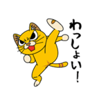 猫空手コレクション（個別スタンプ：3）