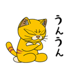 猫空手コレクション（個別スタンプ：12）