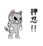 猫空手コレクション（個別スタンプ：13）