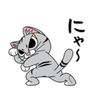 猫空手コレクション（個別スタンプ：14）