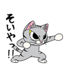 猫空手コレクション（個別スタンプ：17）