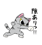 猫空手コレクション（個別スタンプ：18）