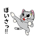 猫空手コレクション（個別スタンプ：19）