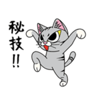 猫空手コレクション（個別スタンプ：23）