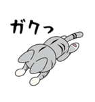 猫空手コレクション（個別スタンプ：26）