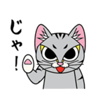 猫空手コレクション（個別スタンプ：28）