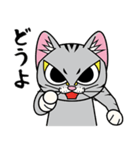 猫空手コレクション（個別スタンプ：30）