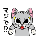 猫空手コレクション（個別スタンプ：31）