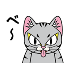 猫空手コレクション（個別スタンプ：36）