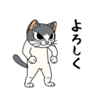 猫空手コレクション（個別スタンプ：37）