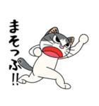 猫空手コレクション（個別スタンプ：39）