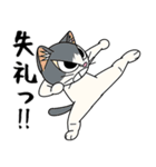 猫空手コレクション（個別スタンプ：40）