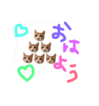 すーさんスタンプ（個別スタンプ：7）