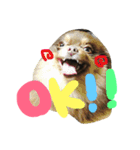 ポコツナ（個別スタンプ：3）