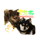 ポコツナ（個別スタンプ：6）